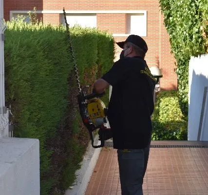 Mantenimiento y jardinería - Grupo Atenea